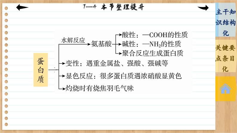 7.4 基本营养物质 整理提升（课件PPT）06