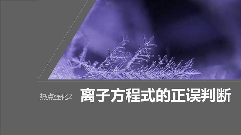 2024年高考化学一轮复习(新高考版) 第1章 热点强化2 离子方程式的正误判断第1页