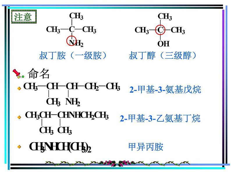 2021届苏高中化学竞赛理论辅导课件-有机化学(提升)12胺04