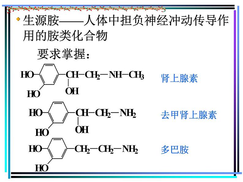 2021届苏高中化学竞赛理论辅导课件-有机化学(提升)12胺07
