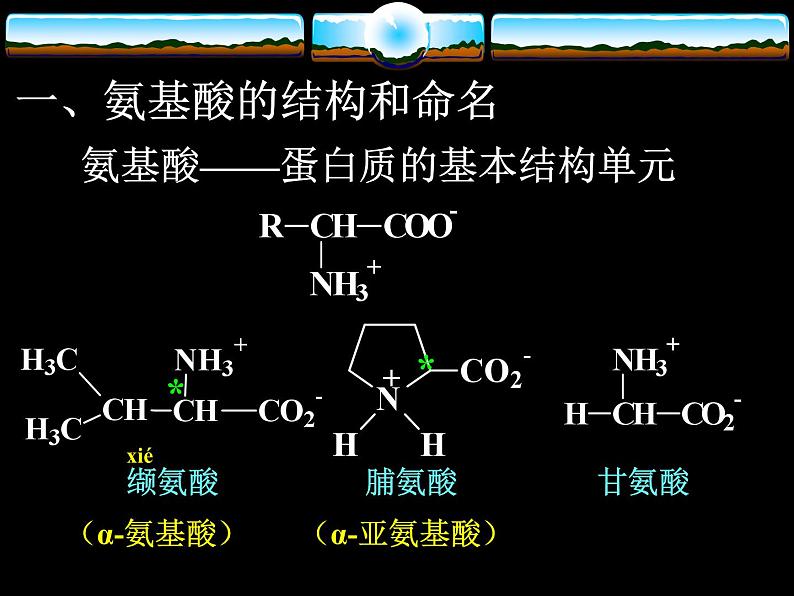 2021届苏高中化学竞赛理论辅导课件-有机化学(提升)16氨基酸03