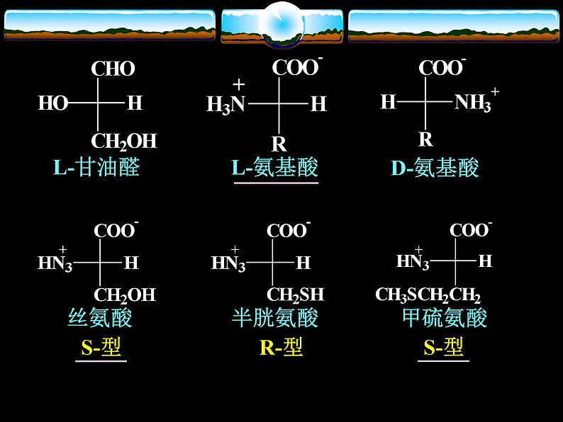 2021届苏高中化学竞赛理论辅导课件-有机化学(提升)16氨基酸04