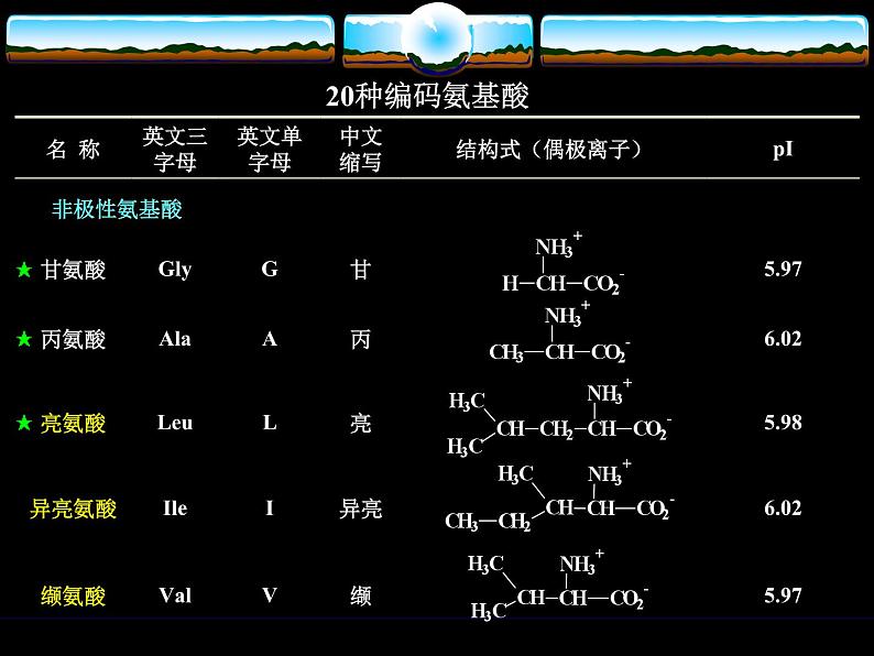 2021届苏高中化学竞赛理论辅导课件-有机化学(提升)16氨基酸05