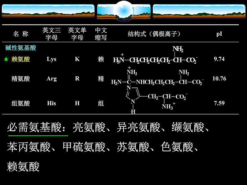 2021届苏高中化学竞赛理论辅导课件-有机化学(提升)16氨基酸08