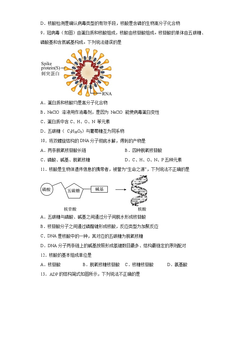2024届高三化学一轮复习培优-核酸训练第3页