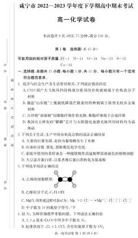 湖北省咸宁市2022-2023学年高一下学期期末考试化学试题