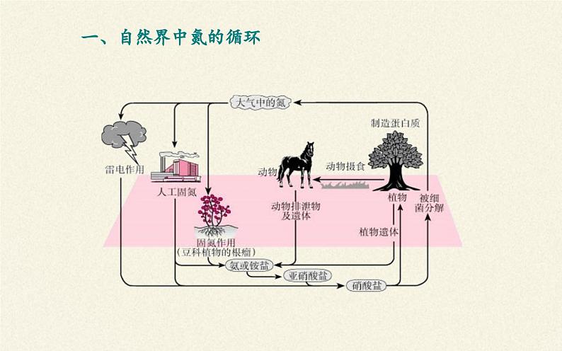 人教版(2019)高中化学必修第一册3.1铁的多样性课件PPT第4页