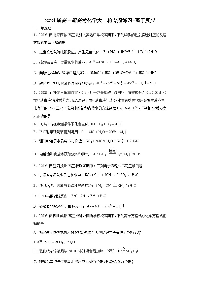 2024届高三新高考化学大一轮专题练习-离子反应第1页