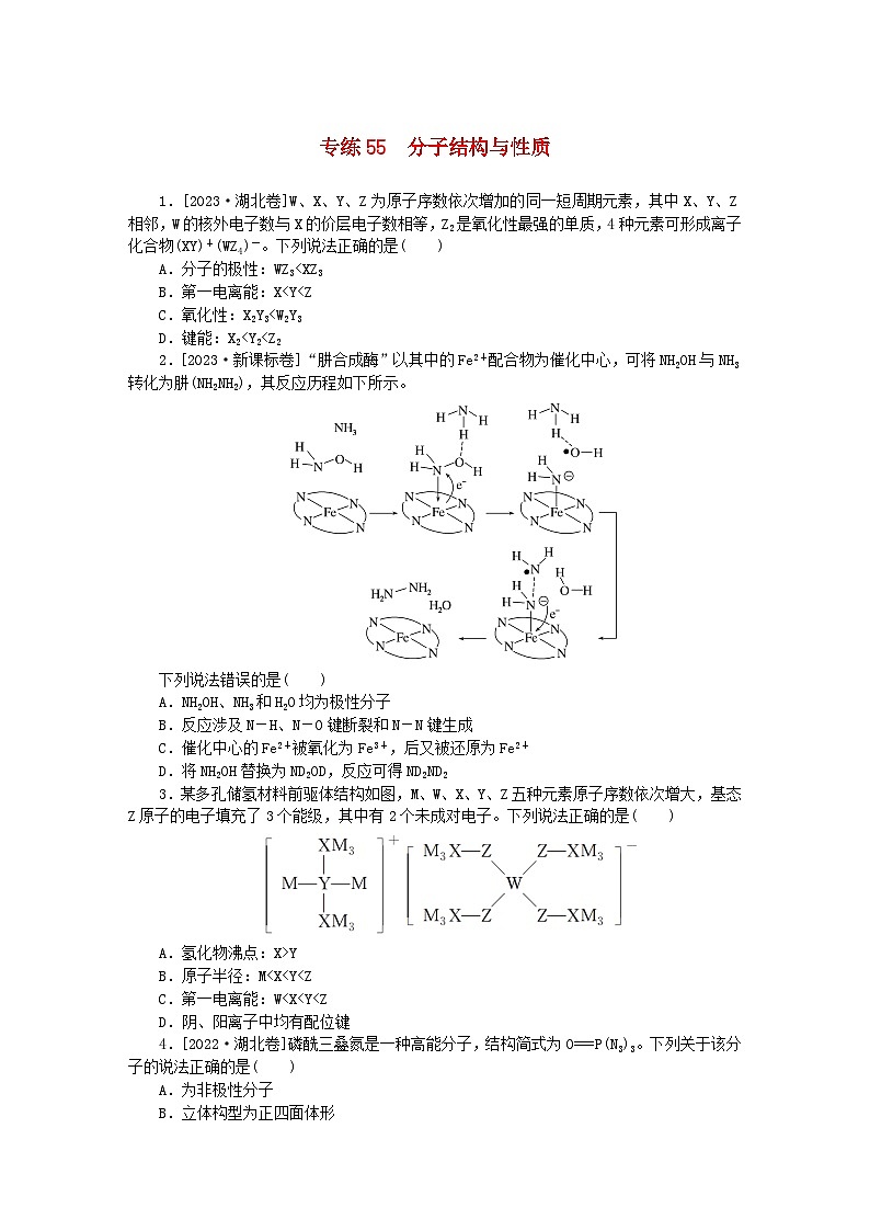 统考版2024版高考化学一轮复习微专题小练习专练55分子结构与性质第1页