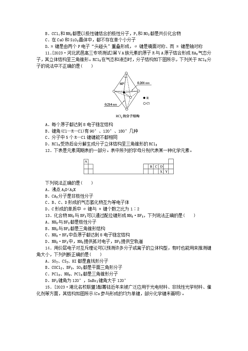 统考版2024版高考化学一轮复习微专题小练习专练55分子结构与性质第3页