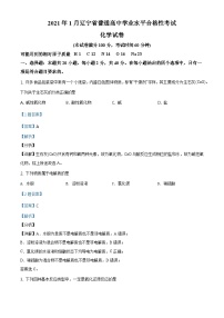 2021年1月辽宁省普通高中学业水平合格性考试化学试题（含解析）