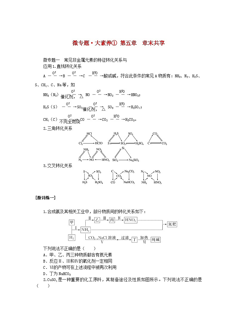 新教材2023版高中化学微专题大素养1第五章化工生产中的重要非金属元素学案新人教版必修第二册第1页