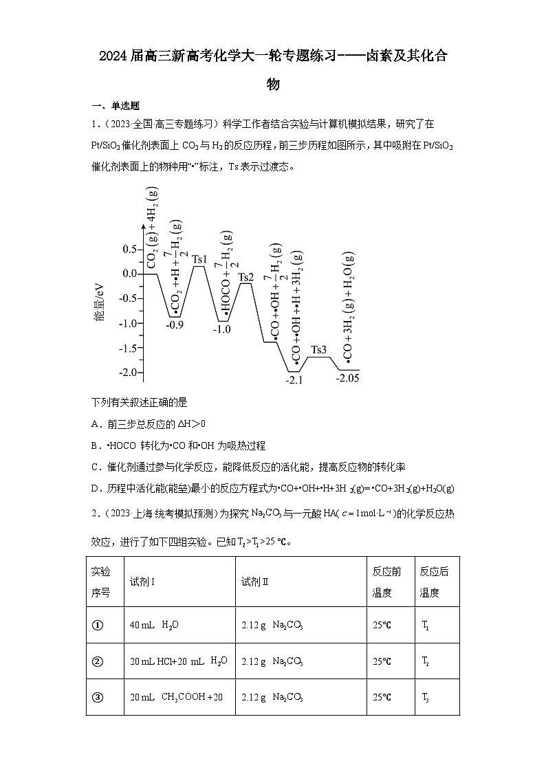 2024届高三新高考化学大一轮专题练习----卤素及其化合物第1页
