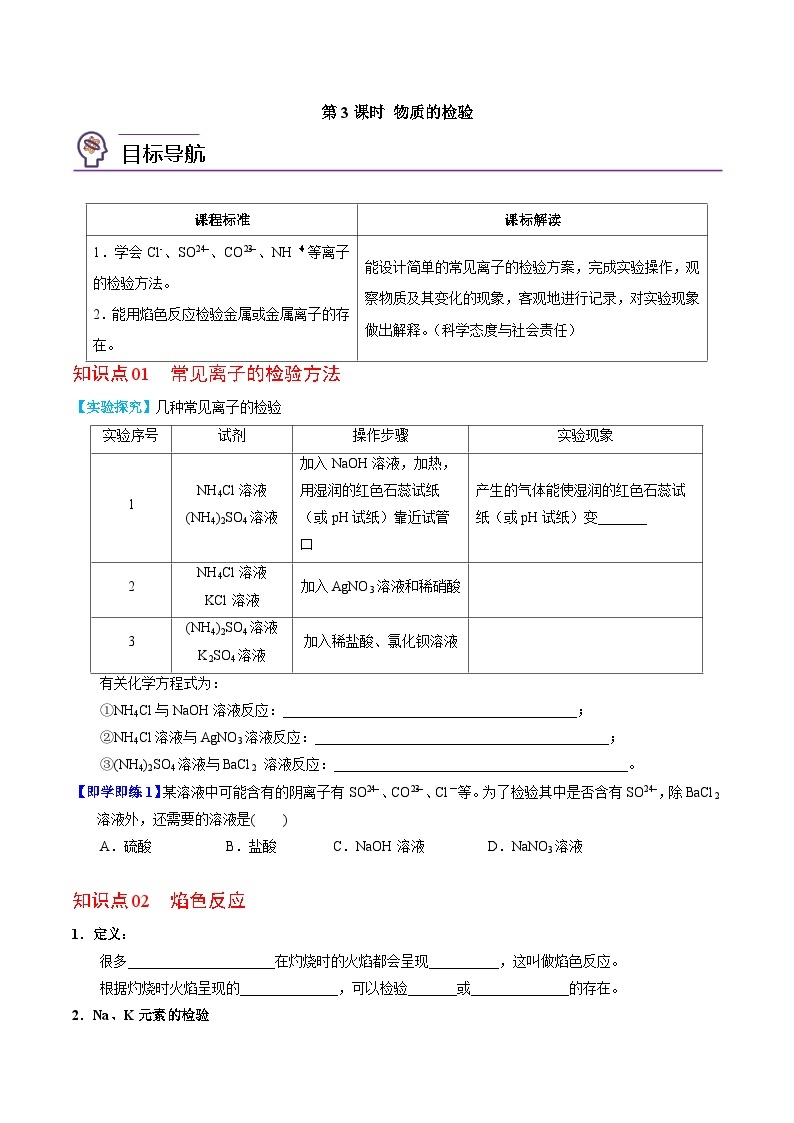 2.1.3 物质的检验-高一化学同步讲义（苏教必修第一册 ）01