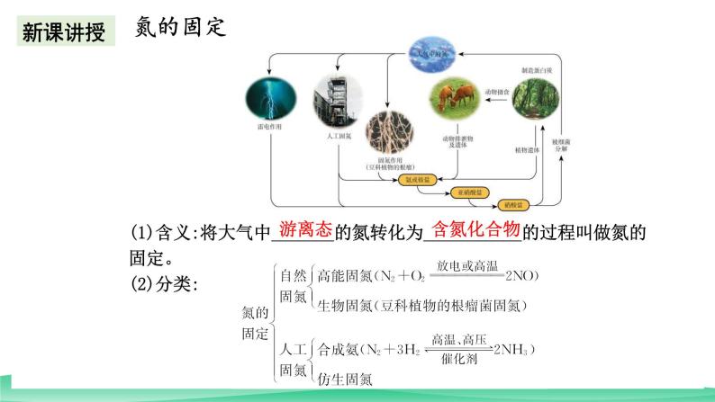 人教版化学高中必修二5.2《氮及其化合物》课件08