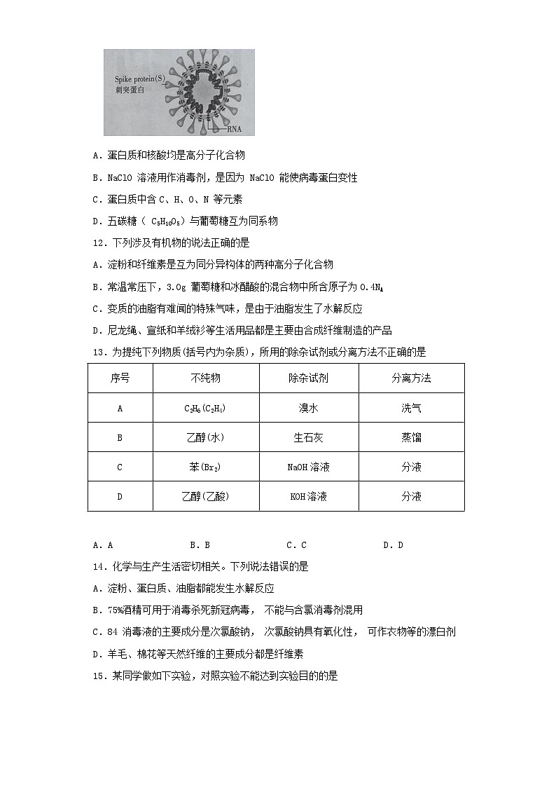 鲁科版(2019)化学选择性必修三 第二章《官能团与有机化学反应 烃的衍生物》测试题(含答案)第3页