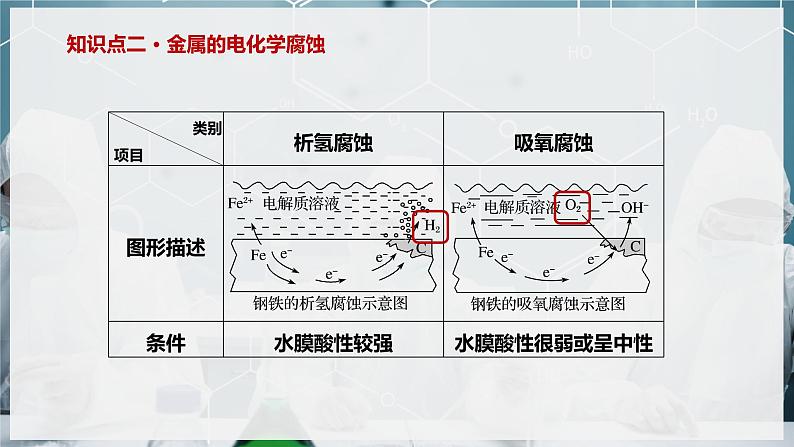 【苏教版】化学选择性必修1 《金属的腐蚀与防护》1.3 金属的腐蚀与防护 课件第5页