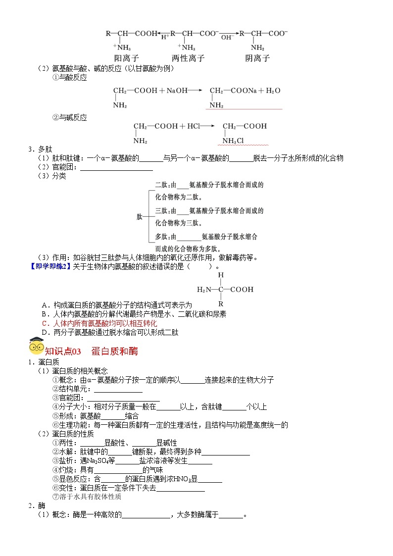 【同步讲义】高中化学（鲁科版2019）选修第三册--第13讲 酰胺　氨基酸和蛋白质 讲义02