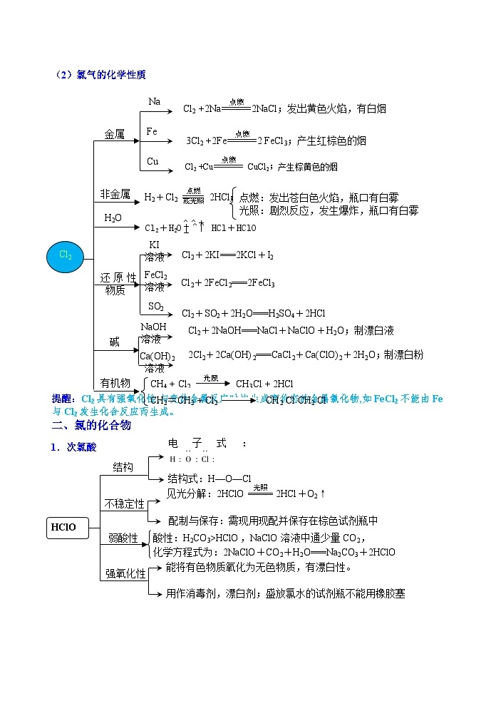 第10讲  氯及其化合物-2023-2024学年高一化学易混易错巧讲精练（人教版2019必修第一册）02