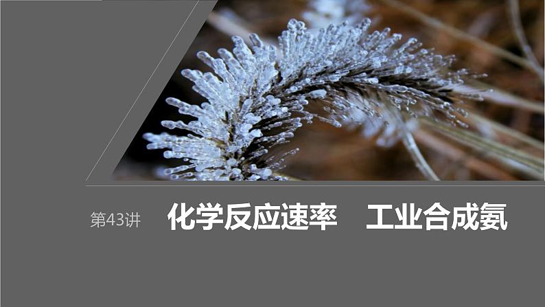 第7章 第43讲 化学反应速率 工业合成氨第1页