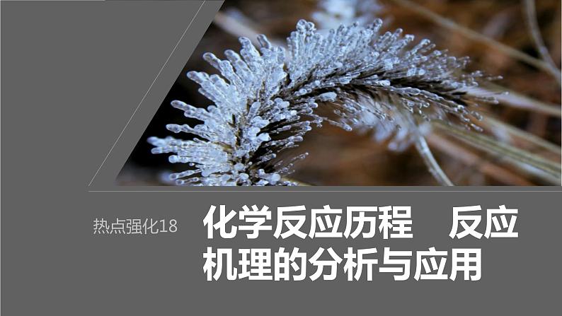 第7章 第43讲 热点强化18 化学反应历程 反应机理的分析与应用第1页