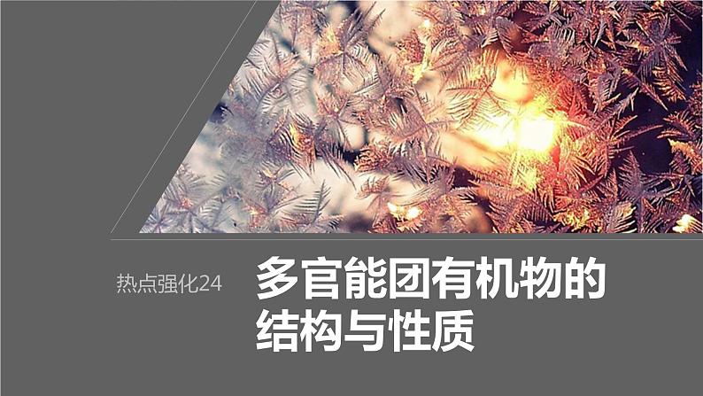 2024年高考化学一轮复习课件(鲁科版)第9章 热点强化24 多官能团有机物的结构与性质01