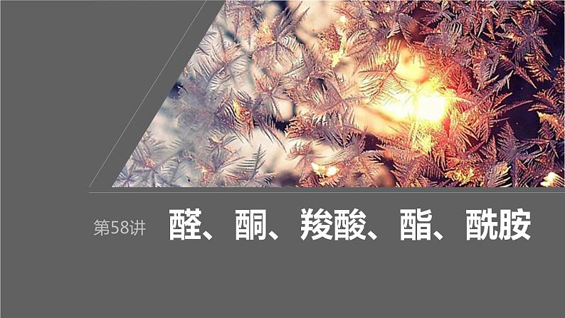 第9章 第58讲 醛、酮、羧酸、酯、酰胺第1页