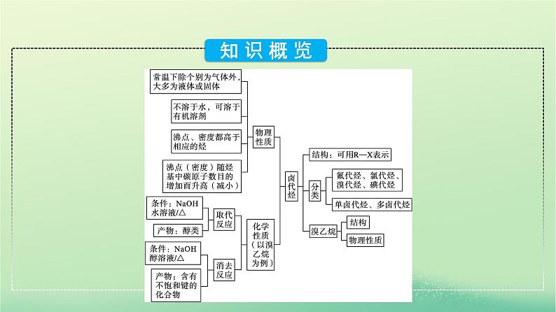 浙江专版2023_2024学年新教材高中化学第3章烃的衍生物第1节卤代烃课件新人教版选择性必修3第5页