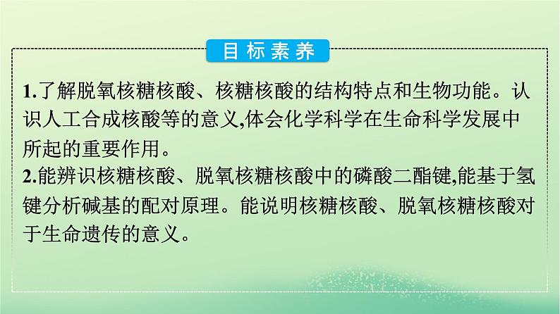 浙江专版2023_2024学年新教材高中化学第4章生物大分子第3节核酸课件新人教版选择性必修3第4页