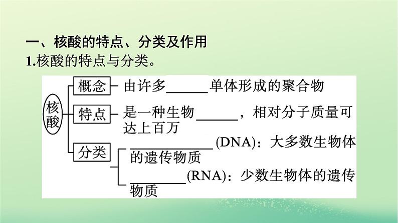 浙江专版2023_2024学年新教材高中化学第4章生物大分子第3节核酸课件新人教版选择性必修3第7页