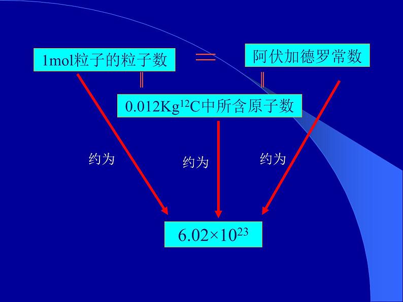 摩尔质量课件第5页
