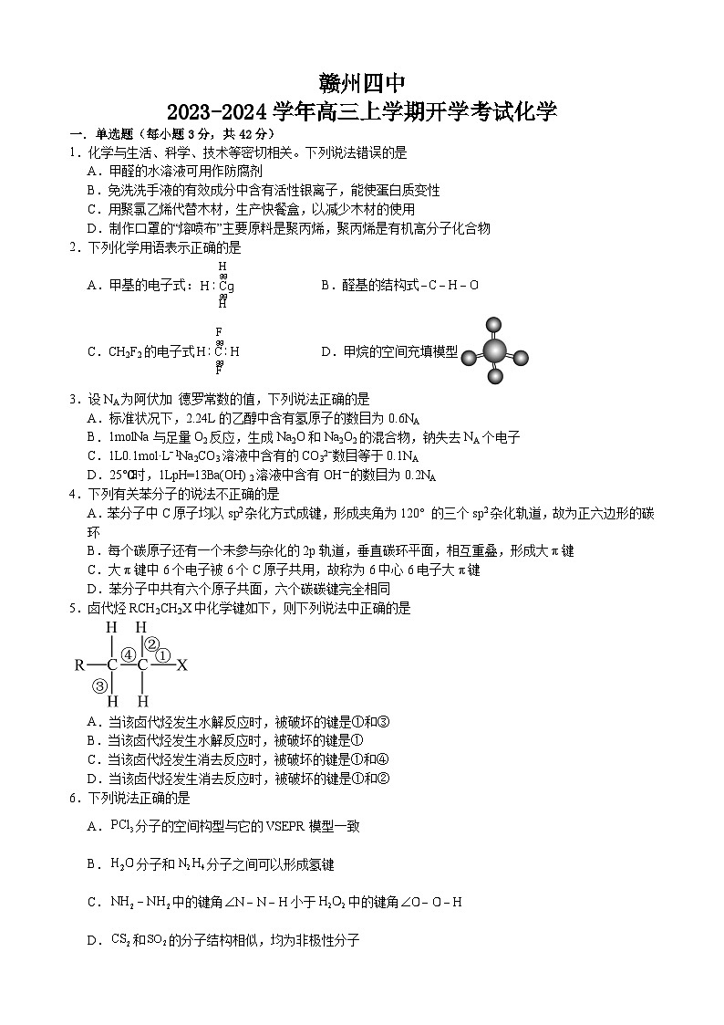 江西省赣州市第四中学2023-2024学年高三上学期开学考试化学试题第1页
