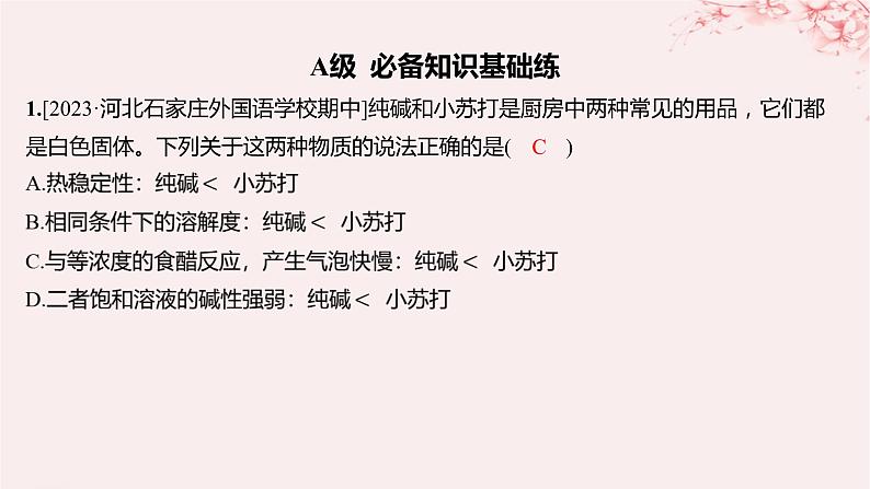 江苏专用2023_2024学年新教材高中化学专题3从海水中获得的化学物质第二单元金属钠及钠的化合物第二课时碳酸钠碳酸氢钠分层作业课件苏教版必修第一册01
