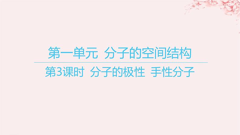 江苏专用2023_2024学年新教材高中化学专题4分子空间结构与物质性质第一单元分子的空间结构第三课时分子的极性手性分子课件苏教版选择性必修201