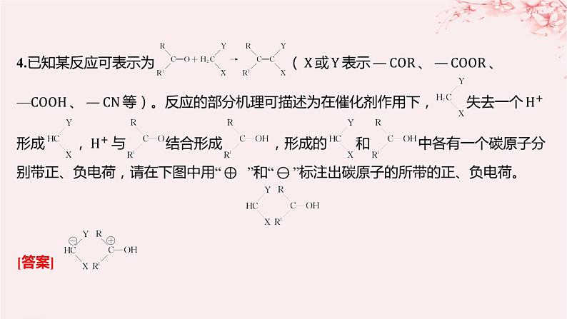江苏专用2023_2024学年新教材高中化学专题1有机化学的发展及研究思路第二单元科学家怎样研究有机物第三课时有机化学反应的研究分层作业课件苏教版选择性必修305