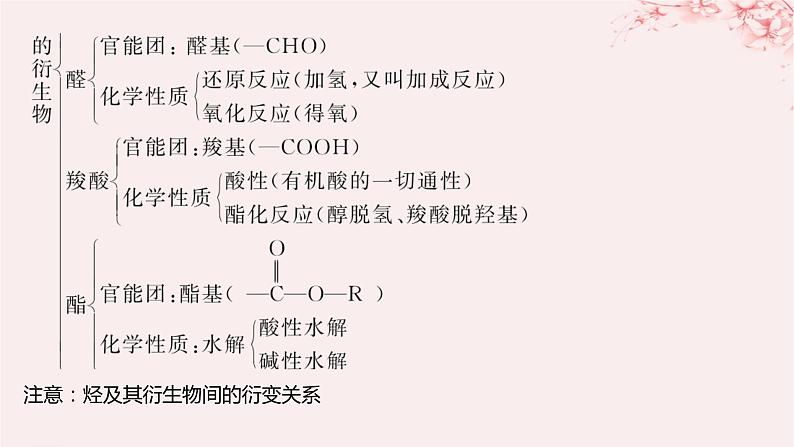 江苏专用2023_2024学年新教材高中化学专题4生活中常用的有机物__烃的含氧衍生物整合课件苏教版选择性必修305