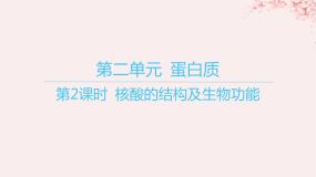高中化学苏教版 (2019)选择性必修3第二单元 蛋白质教学ppt课件