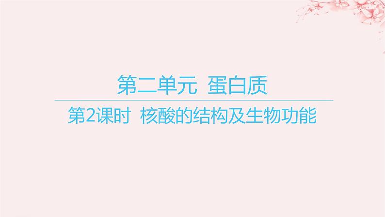 江苏专用2023_2024学年新教材高中化学专题6生命活动的物质基础__糖类油脂蛋白质第二单元蛋白质第二课时核酸的结构及生物功能课件苏教版选择性必修301