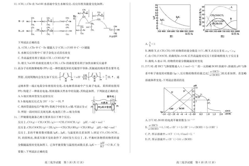 山东省滨州市惠民县2022-2023学年高三化学上学期期末考试试题（PDF版附解析）03