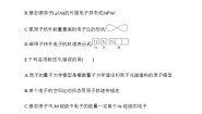 苏教版 (2019)选择性必修2第一单元 原子核外电子的运动习题