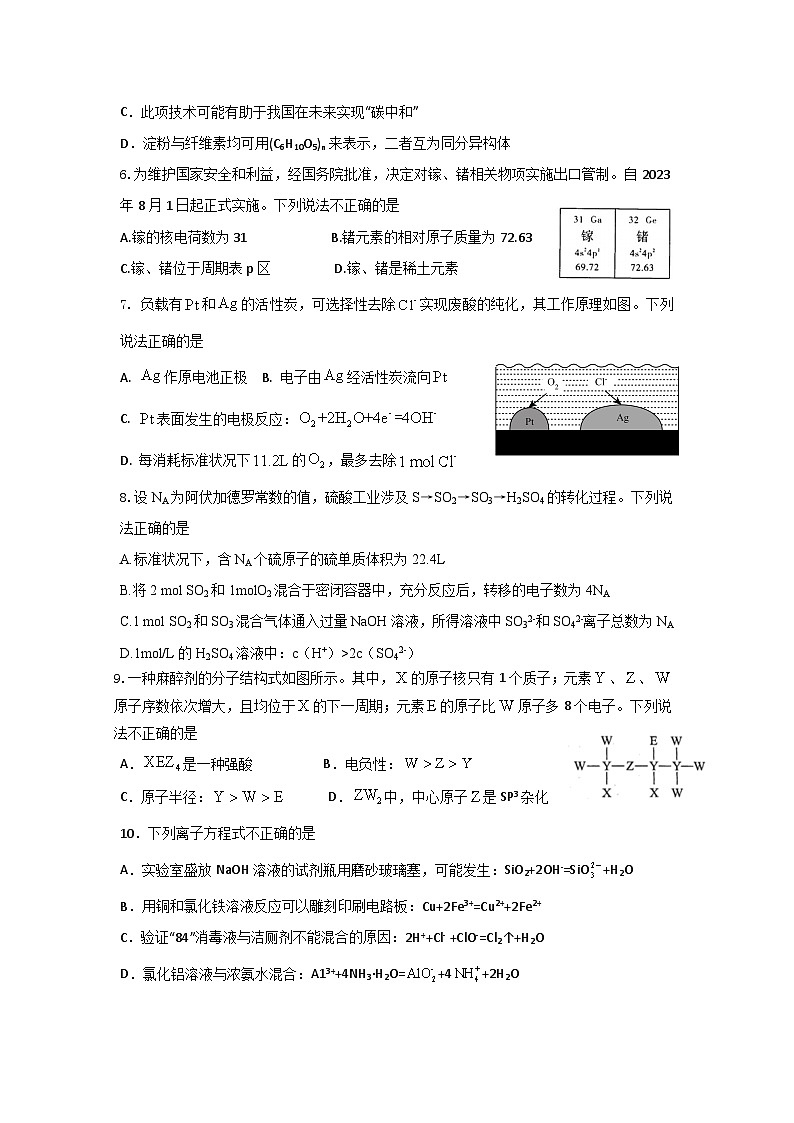 广东省揭阳市普宁市第二中学2023-2024学年高三上学期9月月考化学试题(含答案)第2页