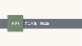 高中化学苏教版 (2019)选择性必修3第二单元 蛋白质备课ppt课件
