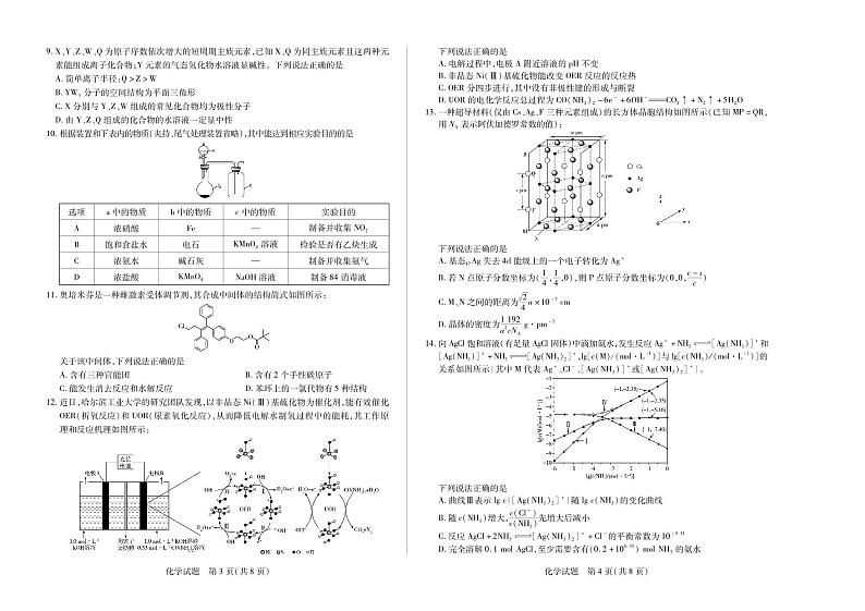 安徽省巢湖市第一中学2024届高三10月月考化学试题第2页