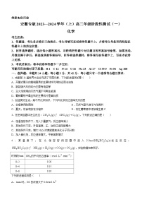 安徽省部分重点中学2023-2024学年高二上学期10月大联考化学试题