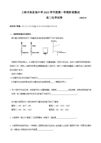 上海市朱家角中学2023-2024学年高三上学期9月阶段测试 化学试题