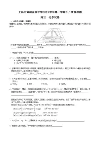 上海市青浦高级中学2023-2024学年高三上学期9月质量检测化学试题