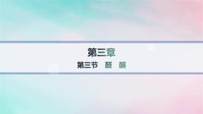 人教版 (2019)选择性必修3第三节 醛酮作业ppt课件