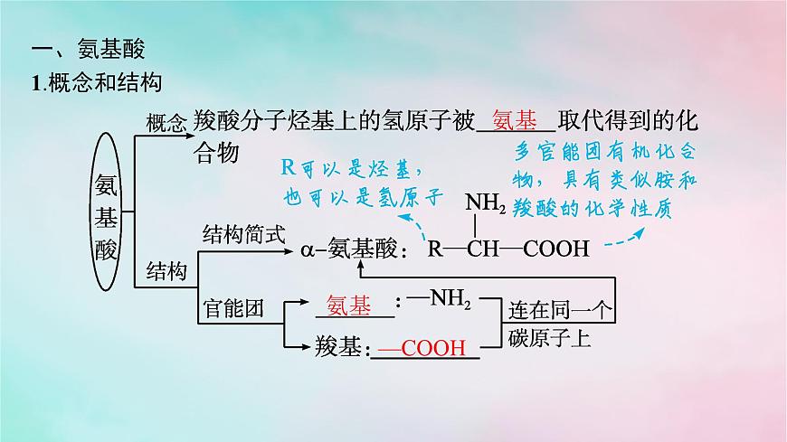 新教材2023_2024學(xué)年高中化學(xué)第4章生物大分子第2節(jié)蛋白質(zhì)課件新人教版選擇性必修3第5頁(yè)