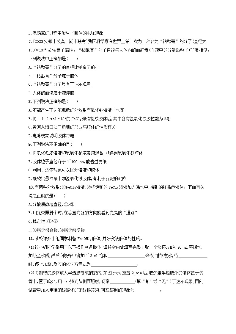 新教材2023_2024学年高中化学第2章元素与物质世界分层作业8胶体鲁科版必修第一册第2页