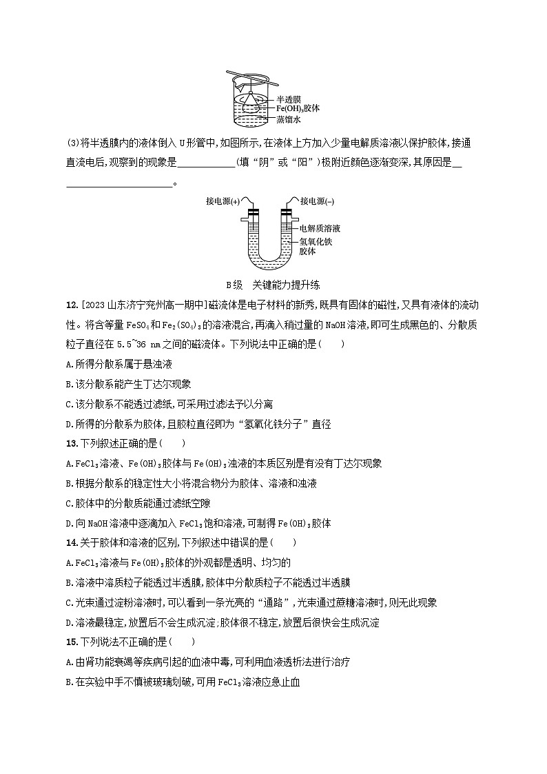 新教材2023_2024学年高中化学第2章元素与物质世界分层作业8胶体鲁科版必修第一册第3页